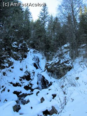 [P17] Bucinis » foto by Testosu'
 - 
<span class="allrVoted glyphicon glyphicon-heart hidden" id="av835127"></span>
<a class="m-l-10 hidden" id="sv835127" onclick="voting_Foto_DelVot(,835127,7135)" role="button">șterge vot <span class="glyphicon glyphicon-remove"></span></a>
<a id="v9835127" class=" c-red"  onclick="voting_Foto_SetVot(835127)" role="button"><span class="glyphicon glyphicon-heart-empty"></span> <b>LIKE</b> = Votează poza</a> <img class="hidden"  id="f835127W9" src="/imagini/loader.gif" border="0" /><span class="AjErrMes hidden" id="e835127ErM"></span>