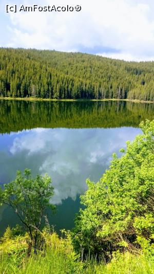 [P19] Lacul Oașa » foto by adrianaglogo
 - 
<span class="allrVoted glyphicon glyphicon-heart hidden" id="av1077577"></span>
<a class="m-l-10 hidden" id="sv1077577" onclick="voting_Foto_DelVot(,1077577,7149)" role="button">șterge vot <span class="glyphicon glyphicon-remove"></span></a>
<a id="v91077577" class=" c-red"  onclick="voting_Foto_SetVot(1077577)" role="button"><span class="glyphicon glyphicon-heart-empty"></span> <b>LIKE</b> = Votează poza</a> <img class="hidden"  id="f1077577W9" src="/imagini/loader.gif" border="0" /><span class="AjErrMes hidden" id="e1077577ErM"></span>