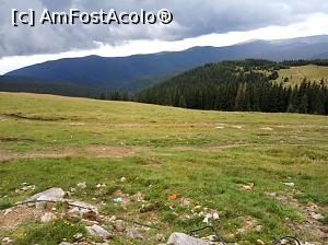 [P26] Transalpina in luna iulie » foto by Dana2008
 - 
<span class="allrVoted glyphicon glyphicon-heart hidden" id="av926182"></span>
<a class="m-l-10 hidden" id="sv926182" onclick="voting_Foto_DelVot(,926182,7149)" role="button">șterge vot <span class="glyphicon glyphicon-remove"></span></a>
<a id="v9926182" class=" c-red"  onclick="voting_Foto_SetVot(926182)" role="button"><span class="glyphicon glyphicon-heart-empty"></span> <b>LIKE</b> = Votează poza</a> <img class="hidden"  id="f926182W9" src="/imagini/loader.gif" border="0" /><span class="AjErrMes hidden" id="e926182ErM"></span>