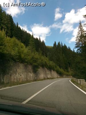 [P01] Transalpina » foto by cecilia a.
 - 
<span class="allrVoted glyphicon glyphicon-heart hidden" id="av1188044"></span>
<a class="m-l-10 hidden" id="sv1188044" onclick="voting_Foto_DelVot(,1188044,7149)" role="button">șterge vot <span class="glyphicon glyphicon-remove"></span></a>
<a id="v91188044" class=" c-red"  onclick="voting_Foto_SetVot(1188044)" role="button"><span class="glyphicon glyphicon-heart-empty"></span> <b>LIKE</b> = Votează poza</a> <img class="hidden"  id="f1188044W9" src="/imagini/loader.gif" border="0" /><span class="AjErrMes hidden" id="e1188044ErM"></span>