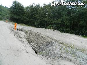 [P03] Imediat dupa lacul Tau Bistra.  » foto by dank
 - 
<span class="allrVoted glyphicon glyphicon-heart hidden" id="av444957"></span>
<a class="m-l-10 hidden" id="sv444957" onclick="voting_Foto_DelVot(,444957,7149)" role="button">șterge vot <span class="glyphicon glyphicon-remove"></span></a>
<a id="v9444957" class=" c-red"  onclick="voting_Foto_SetVot(444957)" role="button"><span class="glyphicon glyphicon-heart-empty"></span> <b>LIKE</b> = Votează poza</a> <img class="hidden"  id="f444957W9" src="/imagini/loader.gif" border="0" /><span class="AjErrMes hidden" id="e444957ErM"></span>