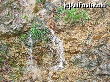 [P03] Transalpina - fosta Drumul Regelui, fosta Poteca Dracului - nu stiu daca era de la ploi sau era un izvoras, dar ne-a inveselit ascensiunea catre Ranca » foto by valimi
 - 
<span class="allrVoted glyphicon glyphicon-heart hidden" id="av156205"></span>
<a class="m-l-10 hidden" id="sv156205" onclick="voting_Foto_DelVot(,156205,7149)" role="button">șterge vot <span class="glyphicon glyphicon-remove"></span></a>
<a id="v9156205" class=" c-red"  onclick="voting_Foto_SetVot(156205)" role="button"><span class="glyphicon glyphicon-heart-empty"></span> <b>LIKE</b> = Votează poza</a> <img class="hidden"  id="f156205W9" src="/imagini/loader.gif" border="0" /><span class="AjErrMes hidden" id="e156205ErM"></span>