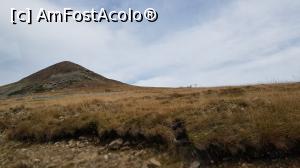 [P17] Vârful Păpușa » foto by alienad
 - 
<span class="allrVoted glyphicon glyphicon-heart hidden" id="av1196384"></span>
<a class="m-l-10 hidden" id="sv1196384" onclick="voting_Foto_DelVot(,1196384,7149)" role="button">șterge vot <span class="glyphicon glyphicon-remove"></span></a>
<a id="v91196384" class=" c-red"  onclick="voting_Foto_SetVot(1196384)" role="button"><span class="glyphicon glyphicon-heart-empty"></span> <b>LIKE</b> = Votează poza</a> <img class="hidden"  id="f1196384W9" src="/imagini/loader.gif" border="0" /><span class="AjErrMes hidden" id="e1196384ErM"></span>