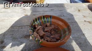 [P21] Tocan de oaie » foto by alienad
 - 
<span class="allrVoted glyphicon glyphicon-heart hidden" id="av1196388"></span>
<a class="m-l-10 hidden" id="sv1196388" onclick="voting_Foto_DelVot(,1196388,7149)" role="button">șterge vot <span class="glyphicon glyphicon-remove"></span></a>
<a id="v91196388" class=" c-red"  onclick="voting_Foto_SetVot(1196388)" role="button"><span class="glyphicon glyphicon-heart-empty"></span> <b>LIKE</b> = Votează poza</a> <img class="hidden"  id="f1196388W9" src="/imagini/loader.gif" border="0" /><span class="AjErrMes hidden" id="e1196388ErM"></span>