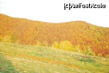 [P03] Transalpina - joc de culori la sfarsit de toamna » foto by deliutza27
 - 
<span class="allrVoted glyphicon glyphicon-heart hidden" id="av157032"></span>
<a class="m-l-10 hidden" id="sv157032" onclick="voting_Foto_DelVot(,157032,7149)" role="button">șterge vot <span class="glyphicon glyphicon-remove"></span></a>
<a id="v9157032" class=" c-red"  onclick="voting_Foto_SetVot(157032)" role="button"><span class="glyphicon glyphicon-heart-empty"></span> <b>LIKE</b> = Votează poza</a> <img class="hidden"  id="f157032W9" src="/imagini/loader.gif" border="0" /><span class="AjErrMes hidden" id="e157032ErM"></span>