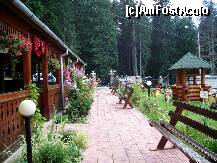 [P11] terasa restaurantului hotelului Cascada » foto by mirelopodu*
 - 
<span class="allrVoted glyphicon glyphicon-heart hidden" id="av130900"></span>
<a class="m-l-10 hidden" id="sv130900" onclick="voting_Foto_DelVot(,130900,7157)" role="button">șterge vot <span class="glyphicon glyphicon-remove"></span></a>
<a id="v9130900" class=" c-red"  onclick="voting_Foto_SetVot(130900)" role="button"><span class="glyphicon glyphicon-heart-empty"></span> <b>LIKE</b> = Votează poza</a> <img class="hidden"  id="f130900W9" src="/imagini/loader.gif" border="0" /><span class="AjErrMes hidden" id="e130900ErM"></span>