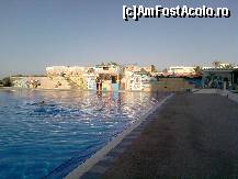 [P04] Piscina cu barul , masa pinpong gratuita. » foto by gianimary
 - 
<span class="allrVoted glyphicon glyphicon-heart hidden" id="av124378"></span>
<a class="m-l-10 hidden" id="sv124378" onclick="voting_Foto_DelVot(,124378,7177)" role="button">șterge vot <span class="glyphicon glyphicon-remove"></span></a>
<a id="v9124378" class=" c-red"  onclick="voting_Foto_SetVot(124378)" role="button"><span class="glyphicon glyphicon-heart-empty"></span> <b>LIKE</b> = Votează poza</a> <img class="hidden"  id="f124378W9" src="/imagini/loader.gif" border="0" /><span class="AjErrMes hidden" id="e124378ErM"></span>