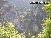 [P21] Marienbrucke vazut din castelul Neuschwanstein » foto by doina_c24
 - 
<span class="allrVoted glyphicon glyphicon-heart hidden" id="av209374"></span>
<a class="m-l-10 hidden" id="sv209374" onclick="voting_Foto_DelVot(,209374,7186)" role="button">șterge vot <span class="glyphicon glyphicon-remove"></span></a>
<a id="v9209374" class=" c-red"  onclick="voting_Foto_SetVot(209374)" role="button"><span class="glyphicon glyphicon-heart-empty"></span> <b>LIKE</b> = Votează poza</a> <img class="hidden"  id="f209374W9" src="/imagini/loader.gif" border="0" /><span class="AjErrMes hidden" id="e209374ErM"></span>