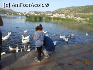 [P43] Kastoria - Micul dejun pentru gâștele de pe lac.  » foto by iulianic
 - 
<span class="allrVoted glyphicon glyphicon-heart hidden" id="av872044"></span>
<a class="m-l-10 hidden" id="sv872044" onclick="voting_Foto_DelVot(,872044,7202)" role="button">șterge vot <span class="glyphicon glyphicon-remove"></span></a>
<a id="v9872044" class=" c-red"  onclick="voting_Foto_SetVot(872044)" role="button"><span class="glyphicon glyphicon-heart-empty"></span> <b>LIKE</b> = Votează poza</a> <img class="hidden"  id="f872044W9" src="/imagini/loader.gif" border="0" /><span class="AjErrMes hidden" id="e872044ErM"></span>