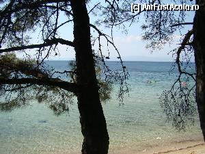 [P11] Pachis beach şi pinii de pe plajă » foto by nakamura
 - 
<span class="allrVoted glyphicon glyphicon-heart hidden" id="av356391"></span>
<a class="m-l-10 hidden" id="sv356391" onclick="voting_Foto_DelVot(,356391,7269)" role="button">șterge vot <span class="glyphicon glyphicon-remove"></span></a>
<a id="v9356391" class=" c-red"  onclick="voting_Foto_SetVot(356391)" role="button"><span class="glyphicon glyphicon-heart-empty"></span> <b>LIKE</b> = Votează poza</a> <img class="hidden"  id="f356391W9" src="/imagini/loader.gif" border="0" /><span class="AjErrMes hidden" id="e356391ErM"></span>