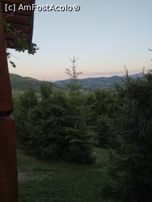 [P11] Vedere din balcon » foto by FLORINA SIMON
 - 
<span class="allrVoted glyphicon glyphicon-heart hidden" id="av1322102"></span>
<a class="m-l-10 hidden" id="sv1322102" onclick="voting_Foto_DelVot(,1322102,7344)" role="button">șterge vot <span class="glyphicon glyphicon-remove"></span></a>
<a id="v91322102" class=" c-red"  onclick="voting_Foto_SetVot(1322102)" role="button"><span class="glyphicon glyphicon-heart-empty"></span> <b>LIKE</b> = Votează poza</a> <img class="hidden"  id="f1322102W9" src="/imagini/loader.gif" border="0" /><span class="AjErrMes hidden" id="e1322102ErM"></span>