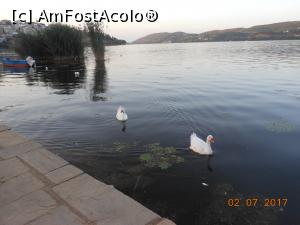 [P28] Hotel Anesis 2* - Kastoria. Lacul dimineața.  » foto by iulianic
 - 
<span class="allrVoted glyphicon glyphicon-heart hidden" id="av874407"></span>
<a class="m-l-10 hidden" id="sv874407" onclick="voting_Foto_DelVot(,874407,7345)" role="button">șterge vot <span class="glyphicon glyphicon-remove"></span></a>
<a id="v9874407" class=" c-red"  onclick="voting_Foto_SetVot(874407)" role="button"><span class="glyphicon glyphicon-heart-empty"></span> <b>LIKE</b> = Votează poza</a> <img class="hidden"  id="f874407W9" src="/imagini/loader.gif" border="0" /><span class="AjErrMes hidden" id="e874407ErM"></span>