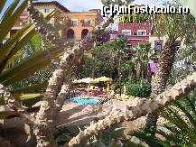 [P03]  -- <small>// FĂRĂ DESCRIERE</small> » foto by osontea
 - 
<span class="allrVoted glyphicon glyphicon-heart hidden" id="av133437"></span>
<a class="m-l-10 hidden" id="sv133437" onclick="voting_Foto_DelVot(,133437,7380)" role="button">șterge vot <span class="glyphicon glyphicon-remove"></span></a>
<a id="v9133437" class=" c-red"  onclick="voting_Foto_SetVot(133437)" role="button"><span class="glyphicon glyphicon-heart-empty"></span> <b>LIKE</b> = Votează poza</a> <img class="hidden"  id="f133437W9" src="/imagini/loader.gif" border="0" /><span class="AjErrMes hidden" id="e133437ErM"></span>