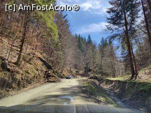 [P02] Drumul forestier ce urcă la Amfiteatrul Transilvania » foto by crismis
 - 
<span class="allrVoted glyphicon glyphicon-heart hidden" id="av1383555"></span>
<a class="m-l-10 hidden" id="sv1383555" onclick="voting_Foto_DelVot(,1383555,7404)" role="button">șterge vot <span class="glyphicon glyphicon-remove"></span></a>
<a id="v91383555" class=" c-red"  onclick="voting_Foto_SetVot(1383555)" role="button"><span class="glyphicon glyphicon-heart-empty"></span> <b>LIKE</b> = Votează poza</a> <img class="hidden"  id="f1383555W9" src="/imagini/loader.gif" border="0" /><span class="AjErrMes hidden" id="e1383555ErM"></span>