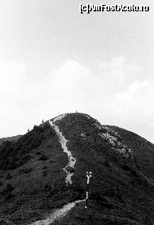 [P05] Creasta Zaganu-Gropsoarele fotografiata de mine in 1992. Un munte curat care pe acea vreme era foarte putin atins de tarele civilizatiei. Pe atunci putini turisti ajungeau in Ciucas din cauza sistemului de transport slab dezvoltat pe acea directie. » foto by bose
 - 
<span class="allrVoted glyphicon glyphicon-heart hidden" id="av137208"></span>
<a class="m-l-10 hidden" id="sv137208" onclick="voting_Foto_DelVot(,137208,7472)" role="button">șterge vot <span class="glyphicon glyphicon-remove"></span></a>
<a id="v9137208" class=" c-red"  onclick="voting_Foto_SetVot(137208)" role="button"><span class="glyphicon glyphicon-heart-empty"></span> <b>LIKE</b> = Votează poza</a> <img class="hidden"  id="f137208W9" src="/imagini/loader.gif" border="0" /><span class="AjErrMes hidden" id="e137208ErM"></span>