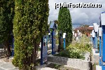 [P06] Partea dreaptă a cimitirului. Se vede clar faptul că mormintele sunt foarte aproape unele de altele. Buruienile... la locul lor.  » foto by Utube
 - 
<span class="allrVoted glyphicon glyphicon-heart hidden" id="av381565"></span>
<a class="m-l-10 hidden" id="sv381565" onclick="voting_Foto_DelVot(,381565,7494)" role="button">șterge vot <span class="glyphicon glyphicon-remove"></span></a>
<a id="v9381565" class=" c-red"  onclick="voting_Foto_SetVot(381565)" role="button"><span class="glyphicon glyphicon-heart-empty"></span> <b>LIKE</b> = Votează poza</a> <img class="hidden"  id="f381565W9" src="/imagini/loader.gif" border="0" /><span class="AjErrMes hidden" id="e381565ErM"></span>