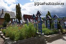 [P07]  -- <small>// FĂRĂ DESCRIERE</small> » foto by Utube
 - 
<span class="allrVoted glyphicon glyphicon-heart hidden" id="av381566"></span>
<a class="m-l-10 hidden" id="sv381566" onclick="voting_Foto_DelVot(,381566,7494)" role="button">șterge vot <span class="glyphicon glyphicon-remove"></span></a>
<a id="v9381566" class=" c-red"  onclick="voting_Foto_SetVot(381566)" role="button"><span class="glyphicon glyphicon-heart-empty"></span> <b>LIKE</b> = Votează poza</a> <img class="hidden"  id="f381566W9" src="/imagini/loader.gif" border="0" /><span class="AjErrMes hidden" id="e381566ErM"></span>