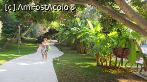 [P02]  -- <small>// FĂRĂ DESCRIERE</small> » foto by Radu 60
 - 
<span class="allrVoted glyphicon glyphicon-heart hidden" id="av1503296"></span>
<a class="m-l-10 hidden" id="sv1503296" onclick="voting_Foto_DelVot(,1503296,7514)" role="button">șterge vot <span class="glyphicon glyphicon-remove"></span></a>
<a id="v91503296" class=" c-red"  onclick="voting_Foto_SetVot(1503296)" role="button"><span class="glyphicon glyphicon-heart-empty"></span> <b>LIKE</b> = Votează poza</a> <img class="hidden"  id="f1503296W9" src="/imagini/loader.gif" border="0" /><span class="AjErrMes hidden" id="e1503296ErM"></span>