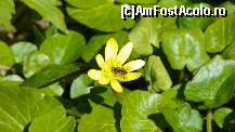 [P59]  -- <small>// FĂRĂ DESCRIERE</small> » foto by ireedeejay
 - 
<span class="allrVoted glyphicon glyphicon-heart hidden" id="av198589"></span>
<a class="m-l-10 hidden" id="sv198589" onclick="voting_Foto_DelVot(,198589,7548)" role="button">șterge vot <span class="glyphicon glyphicon-remove"></span></a>
<a id="v9198589" class=" c-red"  onclick="voting_Foto_SetVot(198589)" role="button"><span class="glyphicon glyphicon-heart-empty"></span> <b>LIKE</b> = Votează poza</a> <img class="hidden"  id="f198589W9" src="/imagini/loader.gif" border="0" /><span class="AjErrMes hidden" id="e198589ErM"></span>