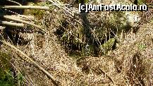 [P68]  -- <small>// FĂRĂ DESCRIERE</small> » foto by ireedeejay
 - 
<span class="allrVoted glyphicon glyphicon-heart hidden" id="av198598"></span>
<a class="m-l-10 hidden" id="sv198598" onclick="voting_Foto_DelVot(,198598,7548)" role="button">șterge vot <span class="glyphicon glyphicon-remove"></span></a>
<a id="v9198598" class=" c-red"  onclick="voting_Foto_SetVot(198598)" role="button"><span class="glyphicon glyphicon-heart-empty"></span> <b>LIKE</b> = Votează poza</a> <img class="hidden"  id="f198598W9" src="/imagini/loader.gif" border="0" /><span class="AjErrMes hidden" id="e198598ErM"></span>