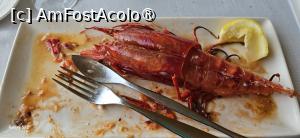 [P12] L-am dovedit » foto by kmy
 - 
<span class="allrVoted glyphicon glyphicon-heart hidden" id="av1515550"></span>
<a class="m-l-10 hidden" id="sv1515550" onclick="voting_Foto_DelVot(,1515550,7560)" role="button">șterge vot <span class="glyphicon glyphicon-remove"></span></a>
<a id="v91515550" class=" c-red"  onclick="voting_Foto_SetVot(1515550)" role="button"><span class="glyphicon glyphicon-heart-empty"></span> <b>LIKE</b> = Votează poza</a> <img class="hidden"  id="f1515550W9" src="/imagini/loader.gif" border="0" /><span class="AjErrMes hidden" id="e1515550ErM"></span>