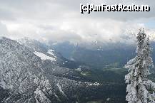 [P08]  -- <small>// FĂRĂ DESCRIERE</small> » foto by sigcristina
 - 
<span class="allrVoted glyphicon glyphicon-heart hidden" id="av321022"></span>
<a class="m-l-10 hidden" id="sv321022" onclick="voting_Foto_DelVot(,321022,7573)" role="button">șterge vot <span class="glyphicon glyphicon-remove"></span></a>
<a id="v9321022" class=" c-red"  onclick="voting_Foto_SetVot(321022)" role="button"><span class="glyphicon glyphicon-heart-empty"></span> <b>LIKE</b> = Votează poza</a> <img class="hidden"  id="f321022W9" src="/imagini/loader.gif" border="0" /><span class="AjErrMes hidden" id="e321022ErM"></span>