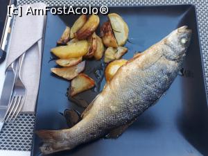[P58] Soțul a fost mai câștigat cu peștele lui.  » foto by Aurici
 - 
<span class="allrVoted glyphicon glyphicon-heart hidden" id="av1089170"></span>
<a class="m-l-10 hidden" id="sv1089170" onclick="voting_Foto_DelVot(,1089170,7576)" role="button">șterge vot <span class="glyphicon glyphicon-remove"></span></a>
<a id="v91089170" class=" c-red"  onclick="voting_Foto_SetVot(1089170)" role="button"><span class="glyphicon glyphicon-heart-empty"></span> <b>LIKE</b> = Votează poza</a> <img class="hidden"  id="f1089170W9" src="/imagini/loader.gif" border="0" /><span class="AjErrMes hidden" id="e1089170ErM"></span>