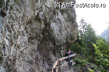 [P03] In dreapta, peretele abrupt al muntelui, in stanga ,prapastia » foto by Alina53
 - 
<span class="allrVoted glyphicon glyphicon-heart hidden" id="av141506"></span>
<a class="m-l-10 hidden" id="sv141506" onclick="voting_Foto_DelVot(,141506,7577)" role="button">șterge vot <span class="glyphicon glyphicon-remove"></span></a>
<a id="v9141506" class=" c-red"  onclick="voting_Foto_SetVot(141506)" role="button"><span class="glyphicon glyphicon-heart-empty"></span> <b>LIKE</b> = Votează poza</a> <img class="hidden"  id="f141506W9" src="/imagini/loader.gif" border="0" /><span class="AjErrMes hidden" id="e141506ErM"></span>
