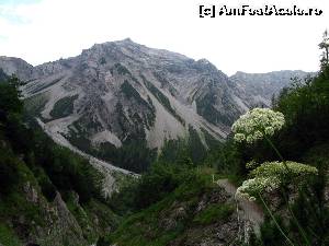 [P13] De pe traseul spre Gramai Hochleger, privind inapoi spre Vf. Rauher Knöll (2.278 m)  » foto by saxonul
 - 
<span class="allrVoted glyphicon glyphicon-heart hidden" id="av545734"></span>
<a class="m-l-10 hidden" id="sv545734" onclick="voting_Foto_DelVot(,545734,7577)" role="button">șterge vot <span class="glyphicon glyphicon-remove"></span></a>
<a id="v9545734" class=" c-red"  onclick="voting_Foto_SetVot(545734)" role="button"><span class="glyphicon glyphicon-heart-empty"></span> <b>LIKE</b> = Votează poza</a> <img class="hidden"  id="f545734W9" src="/imagini/loader.gif" border="0" /><span class="AjErrMes hidden" id="e545734ErM"></span>