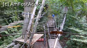 [P18] Parc Aventura-Brasov - aici se intersectau trasee » foto by mishu
 - 
<span class="allrVoted glyphicon glyphicon-heart hidden" id="av718463"></span>
<a class="m-l-10 hidden" id="sv718463" onclick="voting_Foto_DelVot(,718463,7581)" role="button">șterge vot <span class="glyphicon glyphicon-remove"></span></a>
<a id="v9718463" class=" c-red"  onclick="voting_Foto_SetVot(718463)" role="button"><span class="glyphicon glyphicon-heart-empty"></span> <b>LIKE</b> = Votează poza</a> <img class="hidden"  id="f718463W9" src="/imagini/loader.gif" border="0" /><span class="AjErrMes hidden" id="e718463ErM"></span>