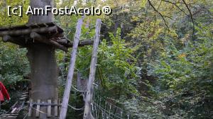 [P19] Parc Aventura-Brasov » foto by mishu
 - 
<span class="allrVoted glyphicon glyphicon-heart hidden" id="av718464"></span>
<a class="m-l-10 hidden" id="sv718464" onclick="voting_Foto_DelVot(,718464,7581)" role="button">șterge vot <span class="glyphicon glyphicon-remove"></span></a>
<a id="v9718464" class=" c-red"  onclick="voting_Foto_SetVot(718464)" role="button"><span class="glyphicon glyphicon-heart-empty"></span> <b>LIKE</b> = Votează poza</a> <img class="hidden"  id="f718464W9" src="/imagini/loader.gif" border="0" /><span class="AjErrMes hidden" id="e718464ErM"></span>