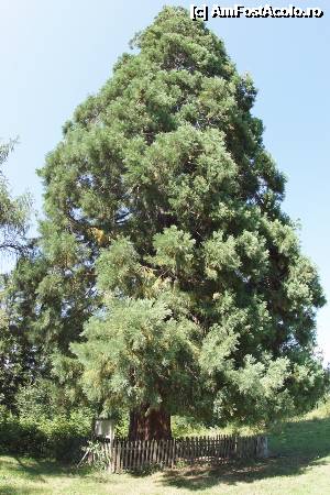 [P12]  -- <small>// FĂRĂ DESCRIERE</small> » foto by Utube
 - 
<span class="allrVoted glyphicon glyphicon-heart hidden" id="av357843"></span>
<a class="m-l-10 hidden" id="sv357843" onclick="voting_Foto_DelVot(,357843,7596)" role="button">șterge vot <span class="glyphicon glyphicon-remove"></span></a>
<a id="v9357843" class=" c-red"  onclick="voting_Foto_SetVot(357843)" role="button"><span class="glyphicon glyphicon-heart-empty"></span> <b>LIKE</b> = Votează poza</a> <img class="hidden"  id="f357843W9" src="/imagini/loader.gif" border="0" /><span class="AjErrMes hidden" id="e357843ErM"></span>