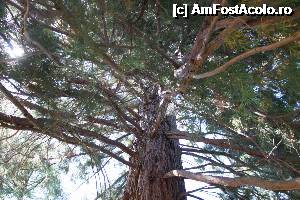 [P13]  -- <small>// FĂRĂ DESCRIERE</small> » foto by Utube
 - 
<span class="allrVoted glyphicon glyphicon-heart hidden" id="av357845"></span>
<a class="m-l-10 hidden" id="sv357845" onclick="voting_Foto_DelVot(,357845,7596)" role="button">șterge vot <span class="glyphicon glyphicon-remove"></span></a>
<a id="v9357845" class=" c-red"  onclick="voting_Foto_SetVot(357845)" role="button"><span class="glyphicon glyphicon-heart-empty"></span> <b>LIKE</b> = Votează poza</a> <img class="hidden"  id="f357845W9" src="/imagini/loader.gif" border="0" /><span class="AjErrMes hidden" id="e357845ErM"></span>