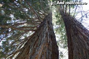 [P14] Cei doi fraţi.  » foto by Utube
 - 
<span class="allrVoted glyphicon glyphicon-heart hidden" id="av357846"></span>
<a class="m-l-10 hidden" id="sv357846" onclick="voting_Foto_DelVot(,357846,7596)" role="button">șterge vot <span class="glyphicon glyphicon-remove"></span></a>
<a id="v9357846" class=" c-red"  onclick="voting_Foto_SetVot(357846)" role="button"><span class="glyphicon glyphicon-heart-empty"></span> <b>LIKE</b> = Votează poza</a> <img class="hidden"  id="f357846W9" src="/imagini/loader.gif" border="0" /><span class="AjErrMes hidden" id="e357846ErM"></span>