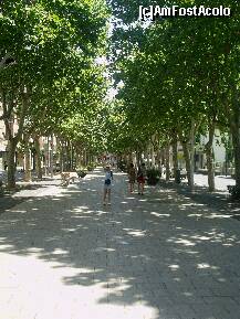 [P20] Passeig de Prim strajuit de platani. » foto by sandu.53
 - 
<span class="allrVoted glyphicon glyphicon-heart hidden" id="av143065"></span>
<a class="m-l-10 hidden" id="sv143065" onclick="voting_Foto_DelVot(,143065,7608)" role="button">șterge vot <span class="glyphicon glyphicon-remove"></span></a>
<a id="v9143065" class=" c-red"  onclick="voting_Foto_SetVot(143065)" role="button"><span class="glyphicon glyphicon-heart-empty"></span> <b>LIKE</b> = Votează poza</a> <img class="hidden"  id="f143065W9" src="/imagini/loader.gif" border="0" /><span class="AjErrMes hidden" id="e143065ErM"></span>