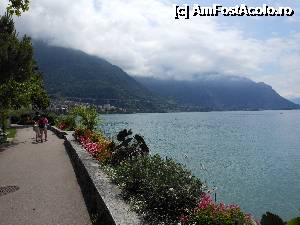 [P08] Montreux - Sub cerul plin de nori albi, lacul, florile si salba de hoteluri.  » foto by iulianic
 - 
<span class="allrVoted glyphicon glyphicon-heart hidden" id="av368085"></span>
<a class="m-l-10 hidden" id="sv368085" onclick="voting_Foto_DelVot(,368085,7614)" role="button">șterge vot <span class="glyphicon glyphicon-remove"></span></a>
<a id="v9368085" class=" c-red"  onclick="voting_Foto_SetVot(368085)" role="button"><span class="glyphicon glyphicon-heart-empty"></span> <b>LIKE</b> = Votează poza</a> <img class="hidden"  id="f368085W9" src="/imagini/loader.gif" border="0" /><span class="AjErrMes hidden" id="e368085ErM"></span>