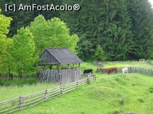 [P16] Peisaj rural lângă „Șemineu”. » foto by tata123 🔱
 - 
<span class="allrVoted glyphicon glyphicon-heart hidden" id="av1237083"></span>
<a class="m-l-10 hidden" id="sv1237083" onclick="voting_Foto_DelVot(,1237083,7635)" role="button">șterge vot <span class="glyphicon glyphicon-remove"></span></a>
<a id="v91237083" class=" c-red"  onclick="voting_Foto_SetVot(1237083)" role="button"><span class="glyphicon glyphicon-heart-empty"></span> <b>LIKE</b> = Votează poza</a> <img class="hidden"  id="f1237083W9" src="/imagini/loader.gif" border="0" /><span class="AjErrMes hidden" id="e1237083ErM"></span>