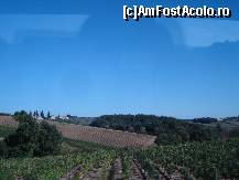 [P02] Toscana-Chianti , cata perfectiune in alinierea randurilor de vita de vie » foto by Diaura*
 - 
<span class="allrVoted glyphicon glyphicon-heart hidden" id="av144652"></span>
<a class="m-l-10 hidden" id="sv144652" onclick="voting_Foto_DelVot(,144652,7645)" role="button">șterge vot <span class="glyphicon glyphicon-remove"></span></a>
<a id="v9144652" class=" c-red"  onclick="voting_Foto_SetVot(144652)" role="button"><span class="glyphicon glyphicon-heart-empty"></span> <b>LIKE</b> = Votează poza</a> <img class="hidden"  id="f144652W9" src="/imagini/loader.gif" border="0" /><span class="AjErrMes hidden" id="e144652ErM"></span>