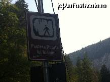 [P18]  -- <small>// FĂRĂ DESCRIERE</small> » foto by andraz
 - 
<span class="allrVoted glyphicon glyphicon-heart hidden" id="av461471"></span>
<a class="m-l-10 hidden" id="sv461471" onclick="voting_Foto_DelVot(,461471,7649)" role="button">șterge vot <span class="glyphicon glyphicon-remove"></span></a>
<a id="v9461471" class=" c-red"  onclick="voting_Foto_SetVot(461471)" role="button"><span class="glyphicon glyphicon-heart-empty"></span> <b>LIKE</b> = Votează poza</a> <img class="hidden"  id="f461471W9" src="/imagini/loader.gif" border="0" /><span class="AjErrMes hidden" id="e461471ErM"></span>