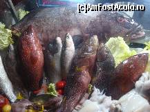 [P22] yumi » foto by teststation
 - 
<span class="allrVoted glyphicon glyphicon-heart hidden" id="av146209"></span>
<a class="m-l-10 hidden" id="sv146209" onclick="voting_Foto_DelVot(,146209,7663)" role="button">șterge vot <span class="glyphicon glyphicon-remove"></span></a>
<a id="v9146209" class=" c-red"  onclick="voting_Foto_SetVot(146209)" role="button"><span class="glyphicon glyphicon-heart-empty"></span> <b>LIKE</b> = Votează poza</a> <img class="hidden"  id="f146209W9" src="/imagini/loader.gif" border="0" /><span class="AjErrMes hidden" id="e146209ErM"></span>