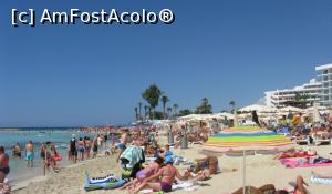 [P21] Nissi la pranz » foto by zozo
 - 
<span class="allrVoted glyphicon glyphicon-heart hidden" id="av980345"></span>
<a class="m-l-10 hidden" id="sv980345" onclick="voting_Foto_DelVot(,980345,7721)" role="button">șterge vot <span class="glyphicon glyphicon-remove"></span></a>
<a id="v9980345" class=" c-red"  onclick="voting_Foto_SetVot(980345)" role="button"><span class="glyphicon glyphicon-heart-empty"></span> <b>LIKE</b> = Votează poza</a> <img class="hidden"  id="f980345W9" src="/imagini/loader.gif" border="0" /><span class="AjErrMes hidden" id="e980345ErM"></span>