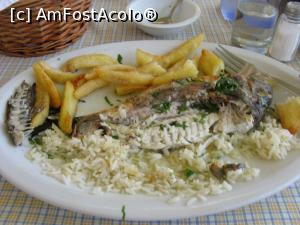 [P31] Taverna Fig Tree » foto by zozo
 - 
<span class="allrVoted glyphicon glyphicon-heart hidden" id="av980359"></span>
<a class="m-l-10 hidden" id="sv980359" onclick="voting_Foto_DelVot(,980359,7721)" role="button">șterge vot <span class="glyphicon glyphicon-remove"></span></a>
<a id="v9980359" class=" c-red"  onclick="voting_Foto_SetVot(980359)" role="button"><span class="glyphicon glyphicon-heart-empty"></span> <b>LIKE</b> = Votează poza</a> <img class="hidden"  id="f980359W9" src="/imagini/loader.gif" border="0" /><span class="AjErrMes hidden" id="e980359ErM"></span>