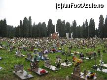 [P06] Frumosul cimitir este loc de odihna pentru personalitati precum Ezra Pound, Diaghilev sau Stravinsky. » foto by vlado2
 - 
<span class="allrVoted glyphicon glyphicon-heart hidden" id="av311747"></span>
<a class="m-l-10 hidden" id="sv311747" onclick="voting_Foto_DelVot(,311747,7782)" role="button">șterge vot <span class="glyphicon glyphicon-remove"></span></a>
<a id="v9311747" class=" c-red"  onclick="voting_Foto_SetVot(311747)" role="button"><span class="glyphicon glyphicon-heart-empty"></span> <b>LIKE</b> = Votează poza</a> <img class="hidden"  id="f311747W9" src="/imagini/loader.gif" border="0" /><span class="AjErrMes hidden" id="e311747ErM"></span>