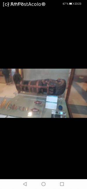 [P01] Muzeul din Cairo a fost incredibil. Sunt lucruri pe care nu o sa le vedeți în alta parte. Pentru sala mumiilor sa aveți pregătite lire egiptene. Nu veți putea plăti cu euro sau dolari. » foto by Floris.Toni
 - 
<span class="allrVoted glyphicon glyphicon-heart hidden" id="av1271750"></span>
<a class="m-l-10 hidden" id="sv1271750" onclick="voting_Foto_DelVot(,1271750,7832)" role="button">șterge vot <span class="glyphicon glyphicon-remove"></span></a>
<a id="v91271750" class=" c-red"  onclick="voting_Foto_SetVot(1271750)" role="button"><span class="glyphicon glyphicon-heart-empty"></span> <b>LIKE</b> = Votează poza</a> <img class="hidden"  id="f1271750W9" src="/imagini/loader.gif" border="0" /><span class="AjErrMes hidden" id="e1271750ErM"></span>