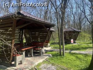 [P36] Focșani- Crângul Petrești » foto by Yersinia Pestis
 - 
<span class="allrVoted glyphicon glyphicon-heart hidden" id="av1523951"></span>
<a class="m-l-10 hidden" id="sv1523951" onclick="voting_Foto_DelVot(,1523951,7833)" role="button">șterge vot <span class="glyphicon glyphicon-remove"></span></a>
<a id="v91523951" class=" c-red"  onclick="voting_Foto_SetVot(1523951)" role="button"><span class="glyphicon glyphicon-heart-empty"></span> <b>LIKE</b> = Votează poza</a> <img class="hidden"  id="f1523951W9" src="/imagini/loader.gif" border="0" /><span class="AjErrMes hidden" id="e1523951ErM"></span>