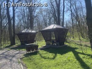 [P37] Focșani- Crângul Petrești » foto by Yersinia Pestis
 - 
<span class="allrVoted glyphicon glyphicon-heart hidden" id="av1523952"></span>
<a class="m-l-10 hidden" id="sv1523952" onclick="voting_Foto_DelVot(,1523952,7833)" role="button">șterge vot <span class="glyphicon glyphicon-remove"></span></a>
<a id="v91523952" class=" c-red"  onclick="voting_Foto_SetVot(1523952)" role="button"><span class="glyphicon glyphicon-heart-empty"></span> <b>LIKE</b> = Votează poza</a> <img class="hidden"  id="f1523952W9" src="/imagini/loader.gif" border="0" /><span class="AjErrMes hidden" id="e1523952ErM"></span>