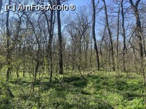 [P38] Focșani- Crângul Petrești » foto by Yersinia Pestis
 - 
<span class="allrVoted glyphicon glyphicon-heart hidden" id="av1523953"></span>
<a class="m-l-10 hidden" id="sv1523953" onclick="voting_Foto_DelVot(,1523953,7833)" role="button">șterge vot <span class="glyphicon glyphicon-remove"></span></a>
<a id="v91523953" class=" c-red"  onclick="voting_Foto_SetVot(1523953)" role="button"><span class="glyphicon glyphicon-heart-empty"></span> <b>LIKE</b> = Votează poza</a> <img class="hidden"  id="f1523953W9" src="/imagini/loader.gif" border="0" /><span class="AjErrMes hidden" id="e1523953ErM"></span>