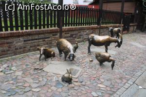 [P31] Wrocław, Pasajul Jatki cu Pomnik „Kuczci Zwierząt Rzeźnych” (Monumentul „În cinstea animalelor sacrificate”) » foto by mprofeanu
 - 
<span class="allrVoted glyphicon glyphicon-heart hidden" id="av1367202"></span>
<a class="m-l-10 hidden" id="sv1367202" onclick="voting_Foto_DelVot(,1367202,7843)" role="button">șterge vot <span class="glyphicon glyphicon-remove"></span></a>
<a id="v91367202" class=" c-red"  onclick="voting_Foto_SetVot(1367202)" role="button"><span class="glyphicon glyphicon-heart-empty"></span> <b>LIKE</b> = Votează poza</a> <img class="hidden"  id="f1367202W9" src="/imagini/loader.gif" border="0" /><span class="AjErrMes hidden" id="e1367202ErM"></span>