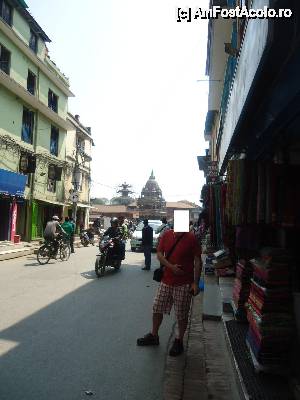 [P39] alta strada » foto by buterfly*
 - 
<span class="allrVoted glyphicon glyphicon-heart hidden" id="av508293"></span>
<a class="m-l-10 hidden" id="sv508293" onclick="voting_Foto_DelVot(,508293,7929)" role="button">șterge vot <span class="glyphicon glyphicon-remove"></span></a>
<a id="v9508293" class=" c-red"  onclick="voting_Foto_SetVot(508293)" role="button"><span class="glyphicon glyphicon-heart-empty"></span> <b>LIKE</b> = Votează poza</a> <img class="hidden"  id="f508293W9" src="/imagini/loader.gif" border="0" /><span class="AjErrMes hidden" id="e508293ErM"></span>