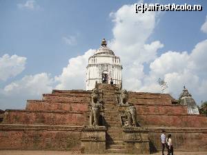 [P19] elefanti la inaltime » foto by buterfly*
 - 
<span class="allrVoted glyphicon glyphicon-heart hidden" id="av508689"></span>
<a class="m-l-10 hidden" id="sv508689" onclick="voting_Foto_DelVot(,508689,7929)" role="button">șterge vot <span class="glyphicon glyphicon-remove"></span></a>
<a id="v9508689" class=" c-red"  onclick="voting_Foto_SetVot(508689)" role="button"><span class="glyphicon glyphicon-heart-empty"></span> <b>LIKE</b> = Votează poza</a> <img class="hidden"  id="f508689W9" src="/imagini/loader.gif" border="0" /><span class="AjErrMes hidden" id="e508689ErM"></span>